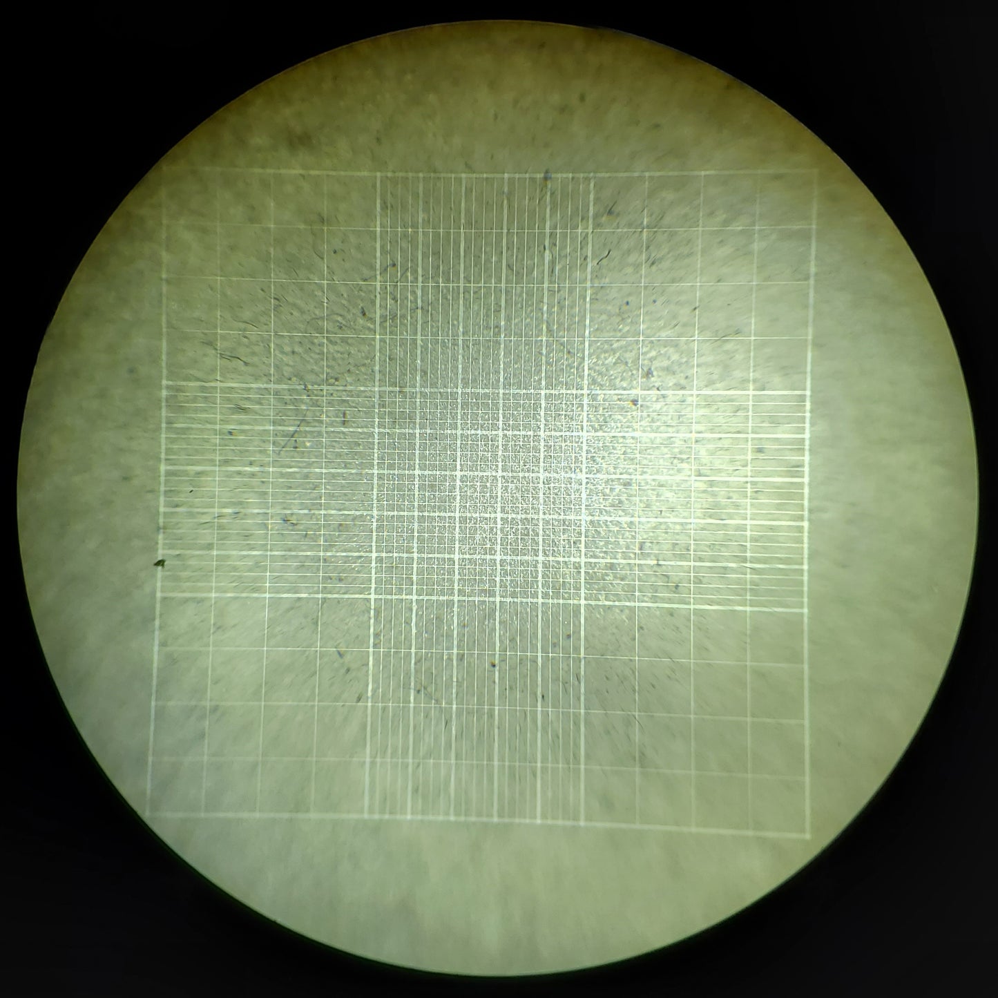 Improved Neubauer Hemocytometer, Cell Counting Chamber with Bright Line