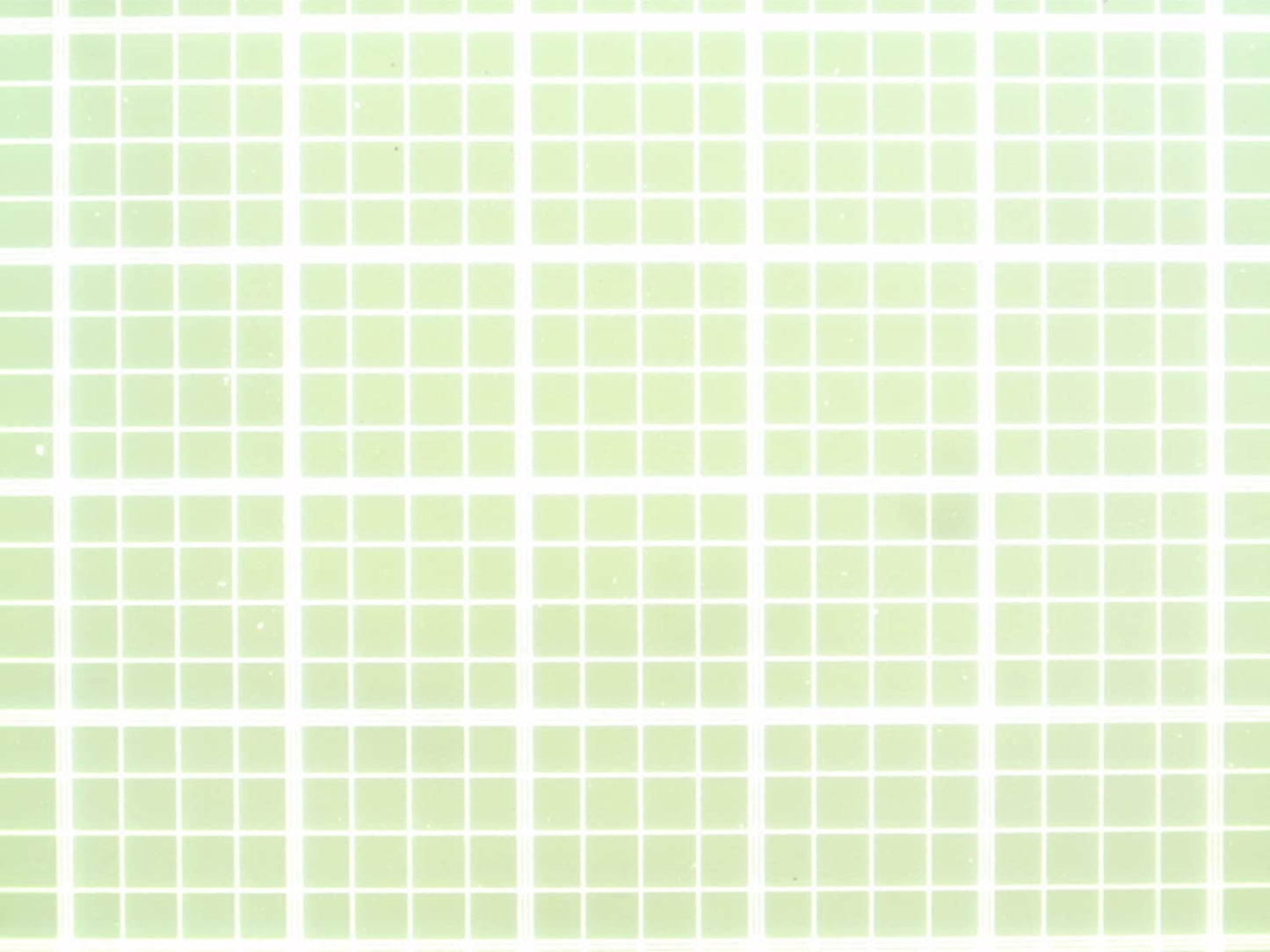 High-magnification microscopic view of the Neubauer improved bright-line grid showing the triple-line boundaries of the large squares.