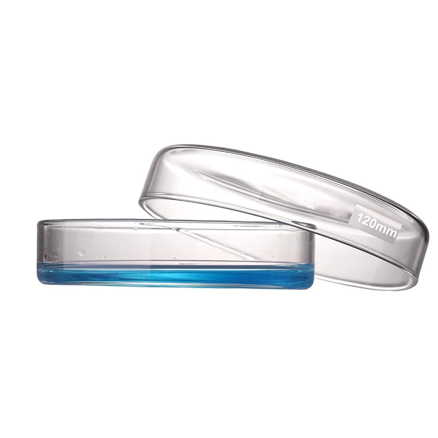 120mm OD Glass Petri Dish with Lid (Case of 60)