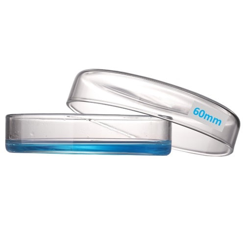 60mm OD Glass Petri Dish with Lid (Pack of 20)