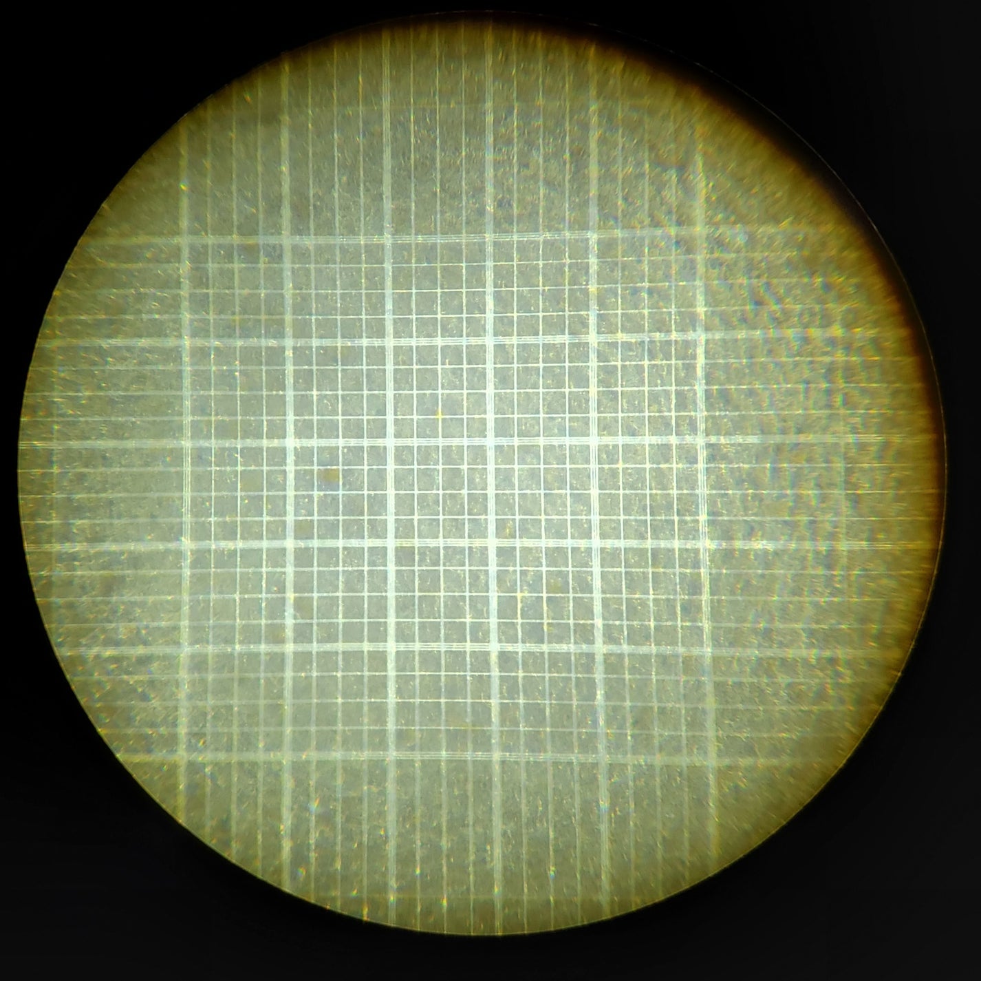 Improved Neubauer Hemocytometer, Cell Counting Chamber with Bright Lin