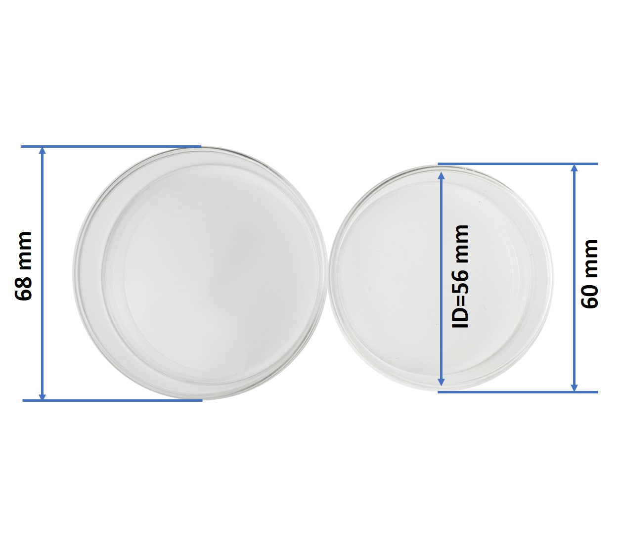 60mm OD Glass Petri Dish with Lid (Pack of 20)