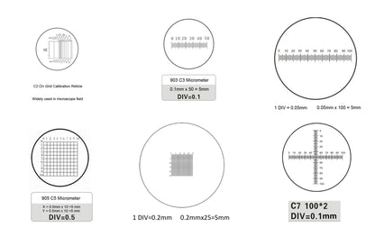 Technical diagram of six 19mm eyepiece reticles (C2 to C7) showing linear scales, grid patterns, cross-hairs, and concentric circle scales for microscopy.