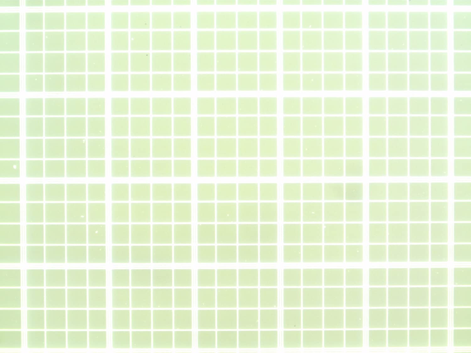 High-magnification microscopic view of the Neubauer improved bright-line grid showing the triple-line boundaries of the large squares.