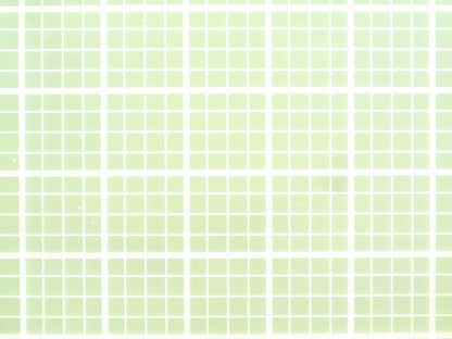 High-magnification microscopic view of the Neubauer improved bright-line grid showing the triple-line boundaries of the large squares.